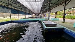 D' Kranji Farm Resort (D24), Land #517423831